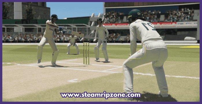 Cricket 22 Free Download for PC – SteamripZone